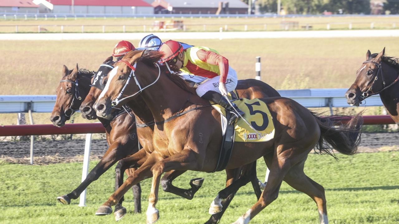 Kalahari Heart will appreciate a drop in grade from the Inverell Cup. Picture: Bradley Photos