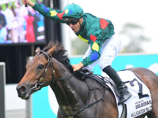 Alligator Blood wins the Magic Millions Guineas. Picture: Trackside Photography