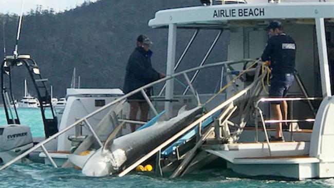 A shark is caught on a drumline before they were removed from Cid Harbour.