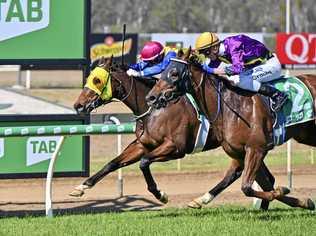 LATE CHARGE: Jockey James Orman guides Real Ego (number two) in a fast-finishing winning burst at Ipswich racetrack. Picture: Cordell Richardson