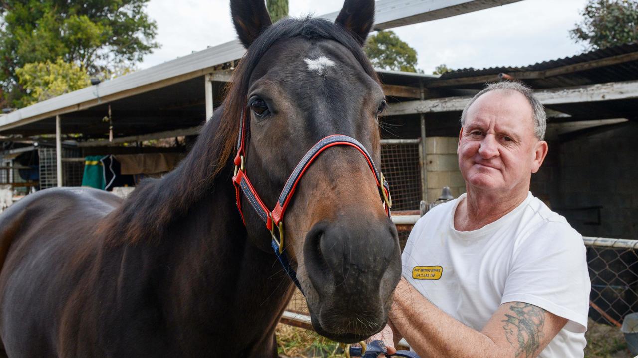 Murray Bridge: Part-owner Steve Pugh revives Usain Bowler after making ...