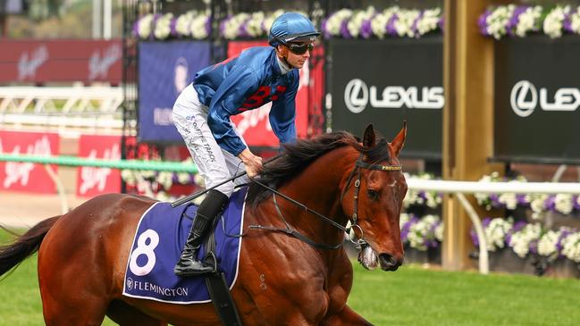 Steparty has been well supported to win The Gong. Picture: Morgan Hancock/Racing Photos via Getty Images