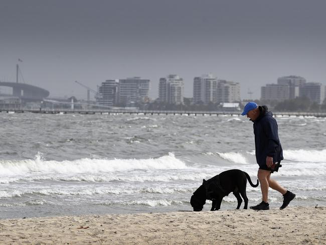 MELBOURNE, AUSTRALIA - NewsWire Photos MAY 21 2023: A man and his dog walk along St Kilda West Beach on a cold and wind Melbourne Sunday. Picture: NCA NewsWire / Andrew Henshaw