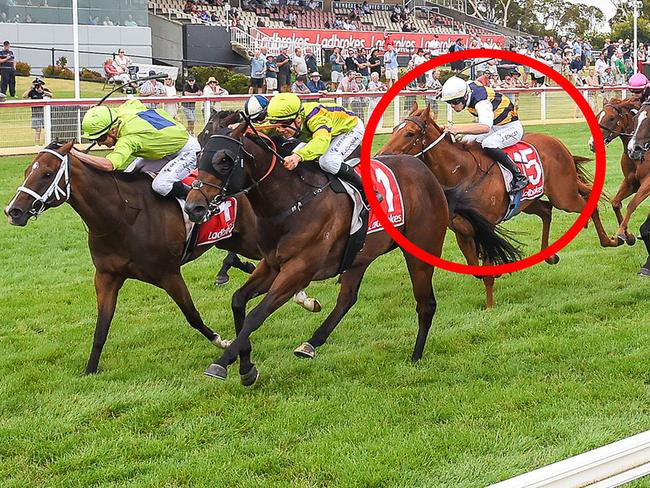 Danxia (circled) was excellent behind Sweethearted at Geelong on Saturday. Picture: Reg Ryan / Racing Photos