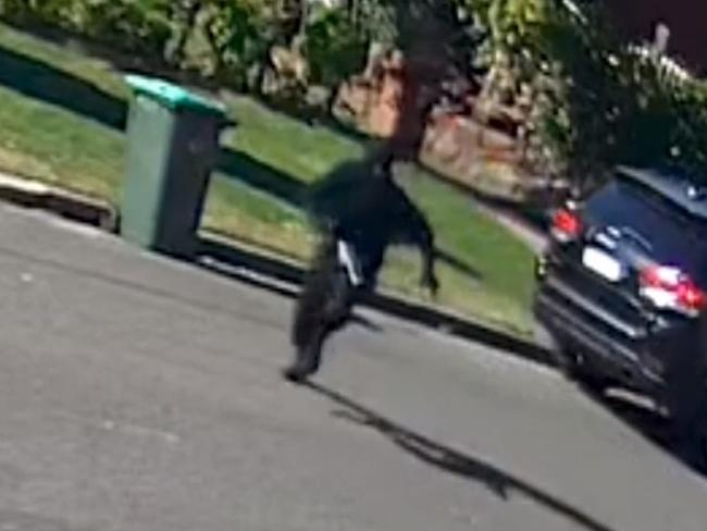 The CCTV footage shows a balaclava-clad gunman ambushing a defence lawyer. Watch the full video above. Picture: NSW Police