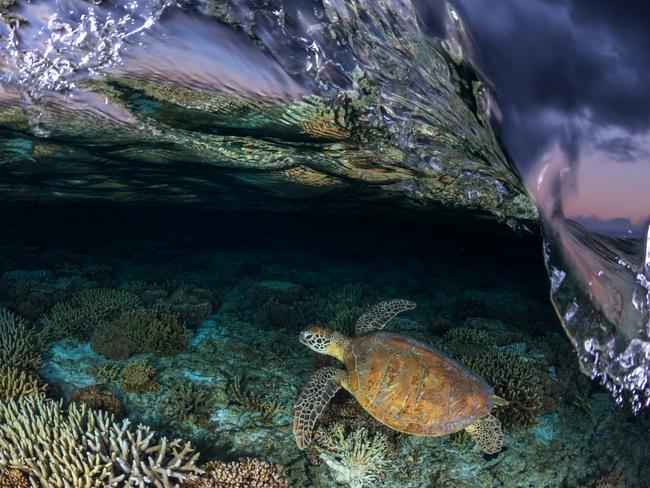 This technique is called ‘over under’ photography, which captures views both below and above the ocean. Picture: Jordan Robins