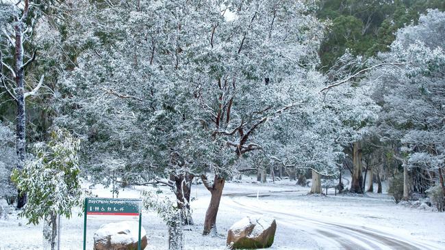 Snow at Mt Macedon Picture: Jay Town