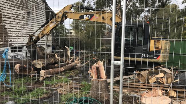 Neighbours were horrified to see trees protected under permit conditions chopped down.