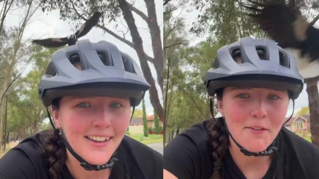 Emma Burnet was terrorised by a magpie while riding her bicycle at the start of magpie swooping season. Picture: TikTok/@emmaburnet