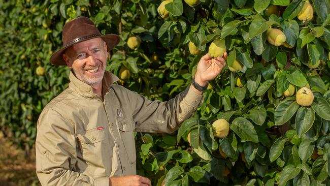 Bill Efrosinis and his partner grow quinces, jujubes and persimmons at Glossop. Picture: Ben Clark