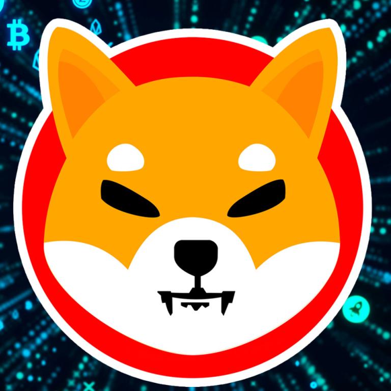 Shiba inu price: Investors warned about cryptocurrency as price surges ...