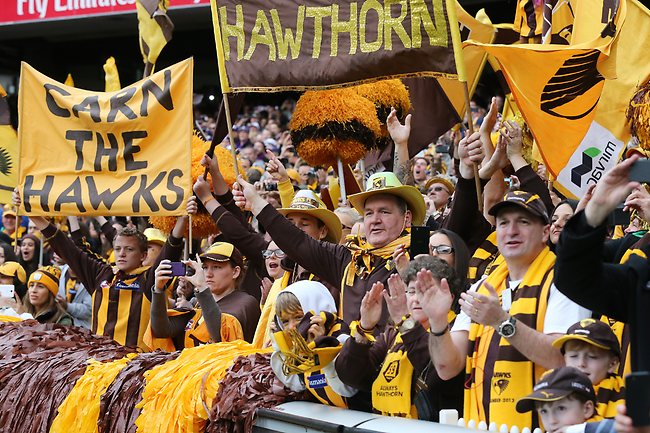 Hawthorn cheer squad at the AFL Grand Final Picture: Alex Coppel