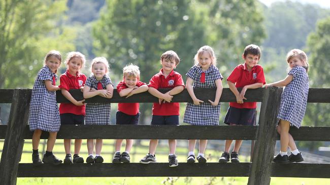 The gorgeous kindy class of Wyong Creek Public School. Picture: Sue Graham