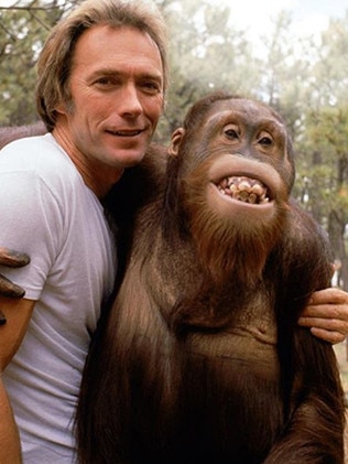 Clint Eastwood with 'Clyde' from Every Which Way But Loose.