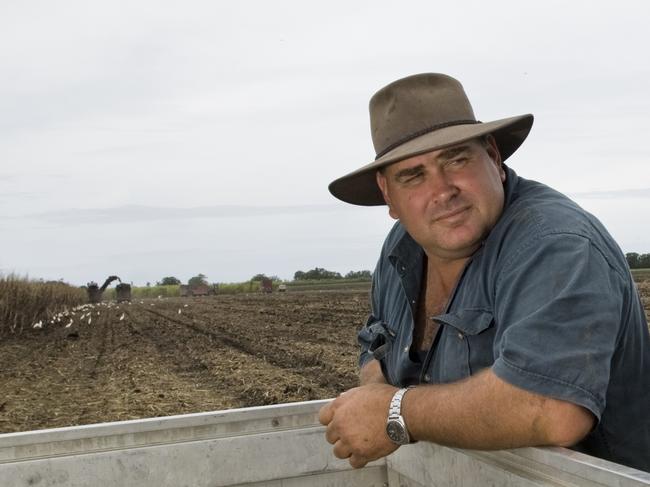 Cane farmer Wayne Rodgers of Pimlico. Photo Jay Cronan / The Northern Star