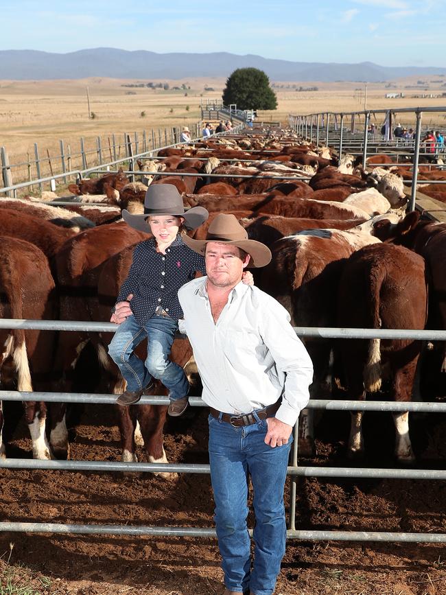 Paddy Joiner and his daughter Layla, from Omeo, at the Hinnomunjie calf sale. Picture: Yuri Kouzmin