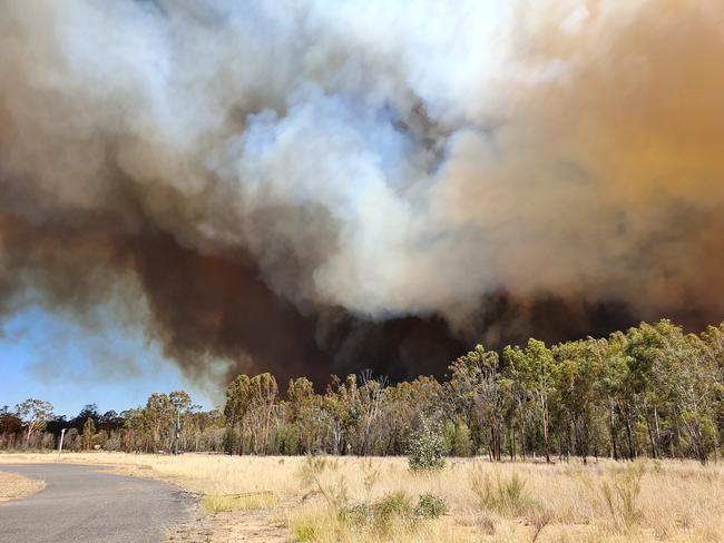 Pennie Furneaux snapped this photo of the Forest Ridge fire shortly before evacuating her home at Paddys Creek Rd on December 4.