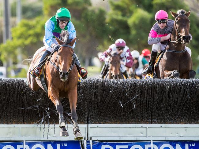 Zed Em, ridden by Steven Pateman, clears the final fence before winning the Grand Annual Steeplechase. Picture: Jake Nowakowski