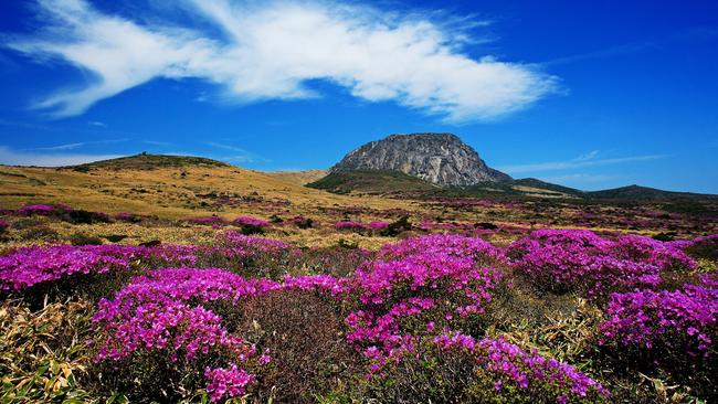 Mount Hallasan, South Korea’s highest mountain.