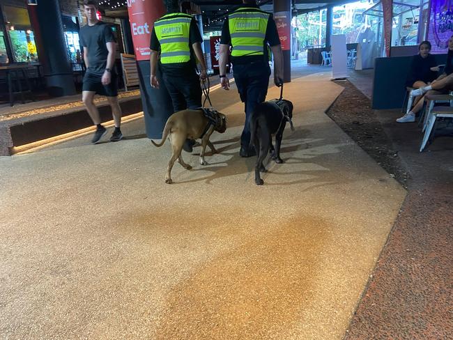 Security guards with dogs patrol Casuarina Square.