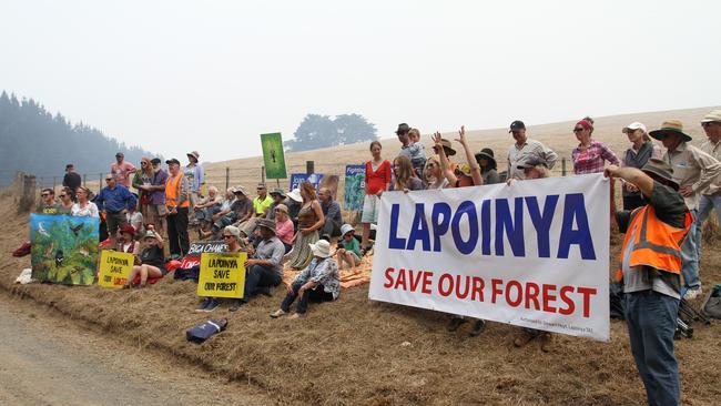 Forest protesters at Lapoinya. Picture: DALE CUMMING