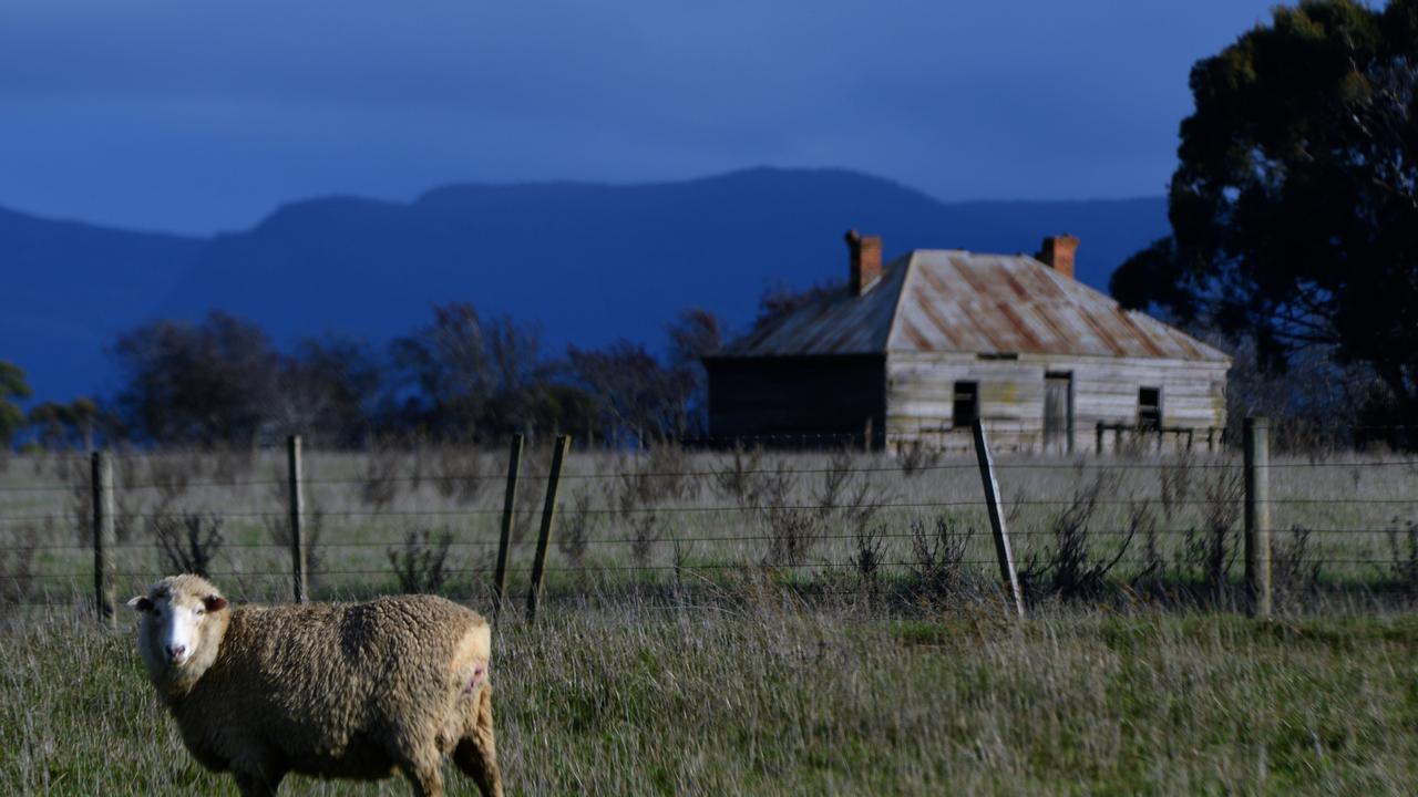 Bishopsbourne. Picture: Mandy Kidd. Your Focus on Tasmania **ONE TIME USE ONLY**