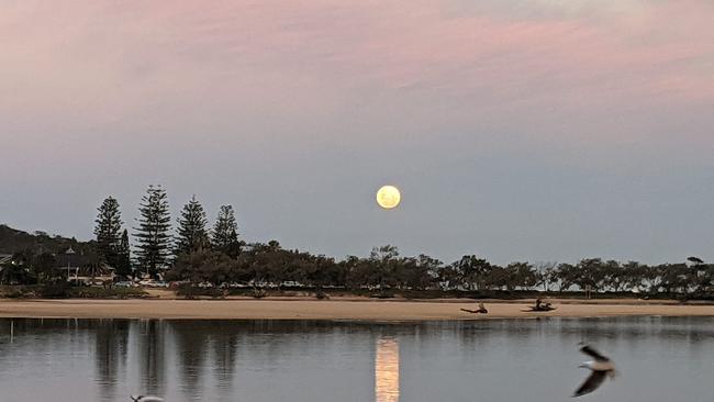 Alyke Norris with this shot of Nambucca as the moon rises. Coffs Cover image.