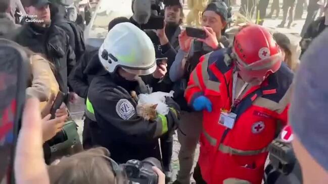 Cat rescued from rubble of Kyiv house