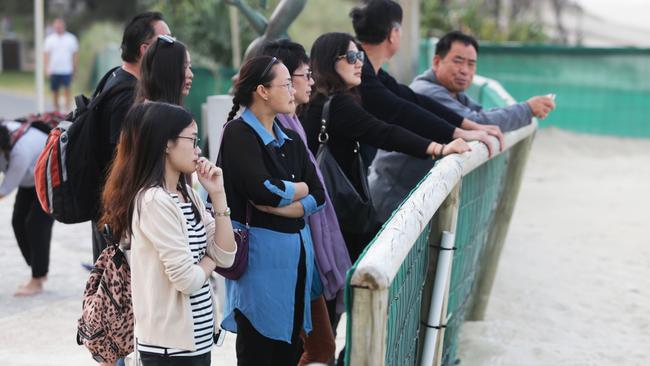 Tourists on the Gold Coast. Pic Tim Marsden