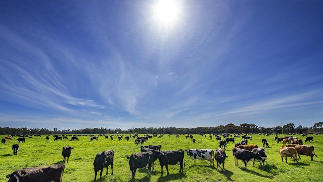 The Clydebank dairy aggregation in Gippsland is under offer. File photo. Picture: Zoe Phillips