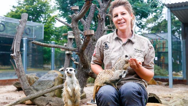 Tasmania Zoo owner Rochelle Penney with the meerkats. Picture: PATRICK GEE