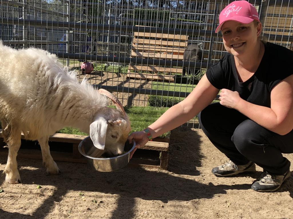 RSPCA Volunteers Toast #DoSomething Day | Daily Telegraph