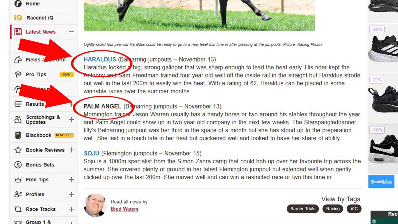 Brad Waters pinpointed Palm Angel as a future winner in his weekly jumpouts column on Racenet on November 20 … along with Friday night The Valley winner Haraldus.