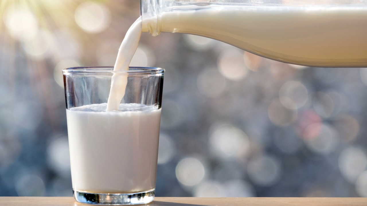 Is full cream milk unhealthy? | body+soul