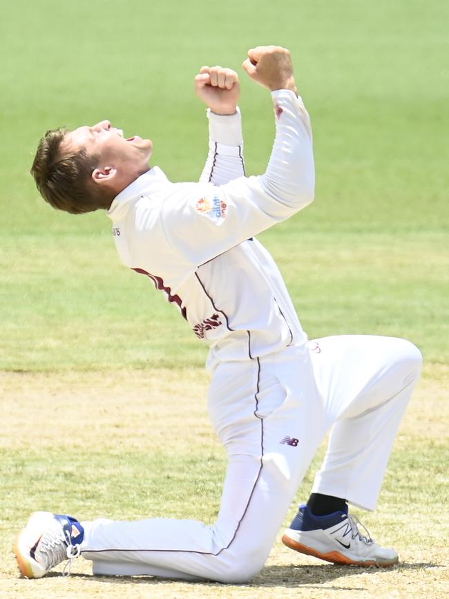 Marnus Labuschagne celebrates a wicket for Queensland.