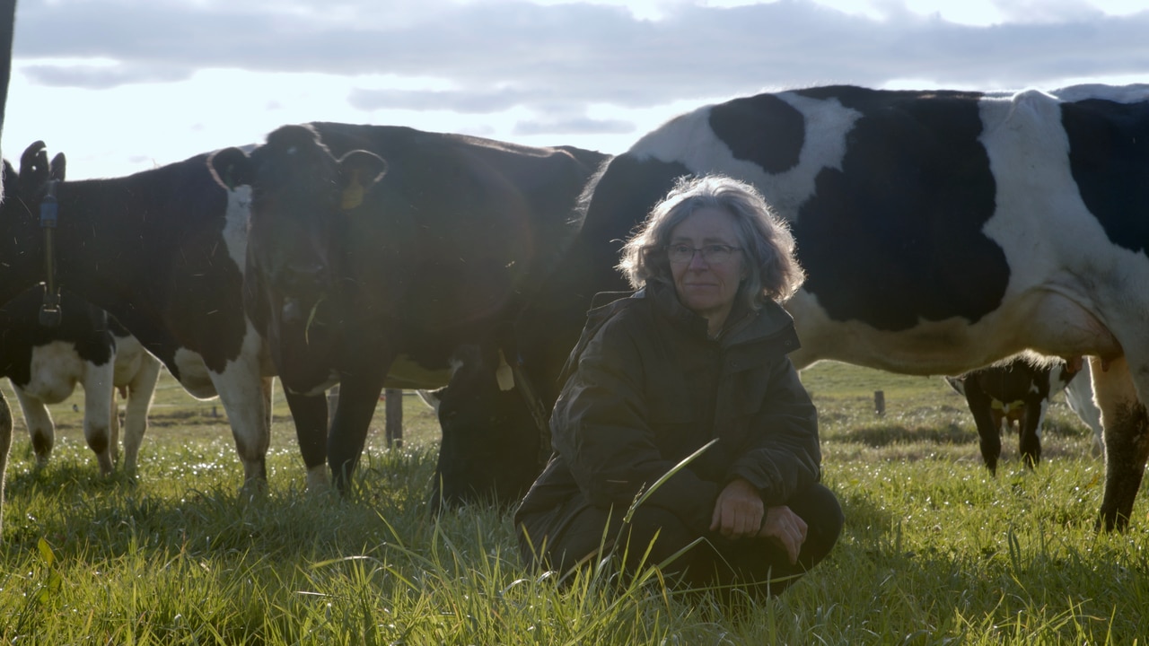 Dairy farmers make documentary debut