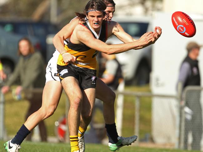 Hunter Clark in action for the Dandenong Stingrays this year. Picture: Stuart Milligan