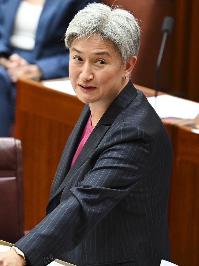 Police allege Senator Penny Wong was one of Andros’ victims. Picture: NewsWire / Martin Ollman