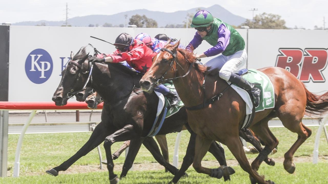 Taree Tuesday tips, inside mail: $10 value bet