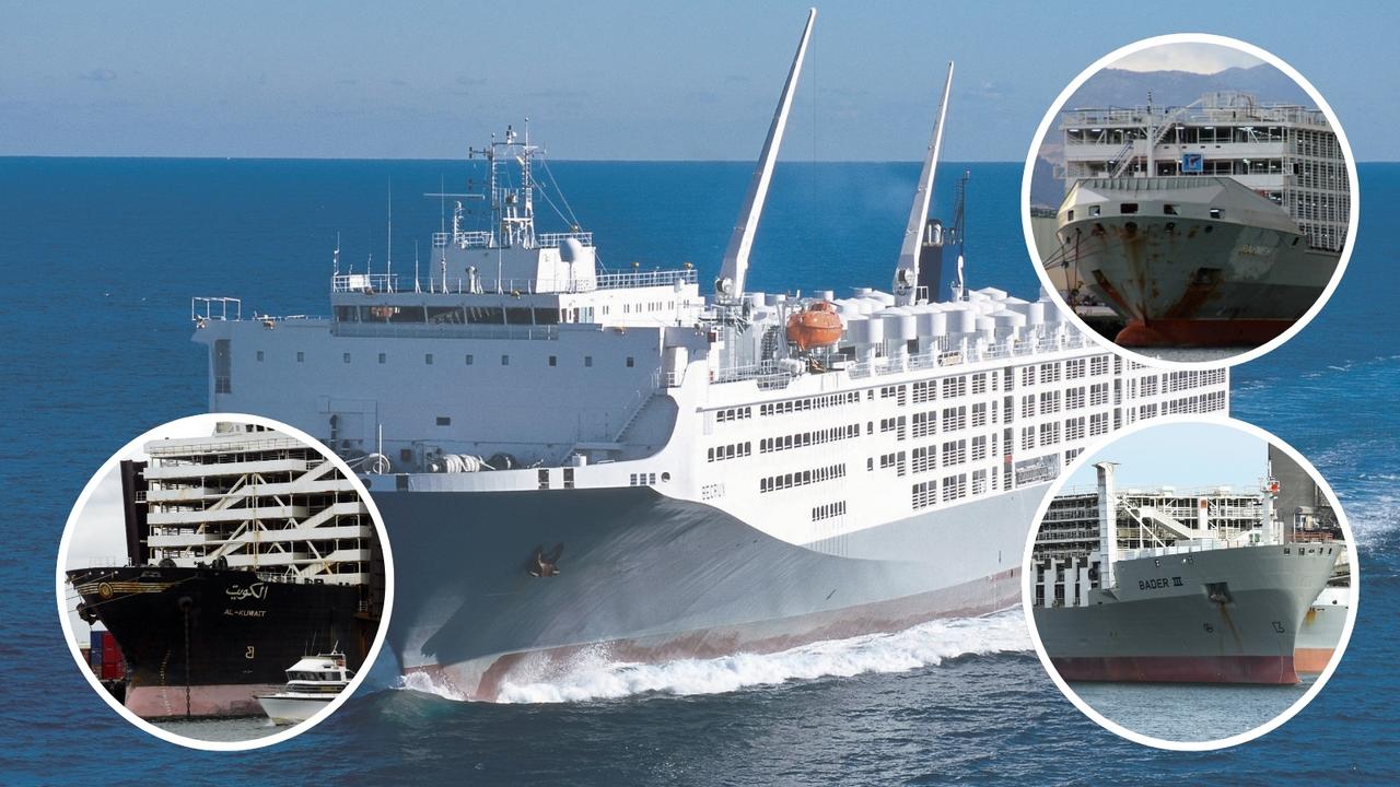 23 of the most influential livestock-carrying ships