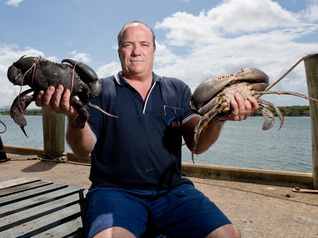 Mackay Reef Fish Supplies owner David Caracciolo says commercial fishers are the Queensland Government’s ‘scapegoats’ with the industry facing uphill battles with increasing legislation.