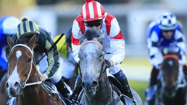 Classique Legend returned with an impressive win in the Bob Charley AO Stakes. Picture: AAP