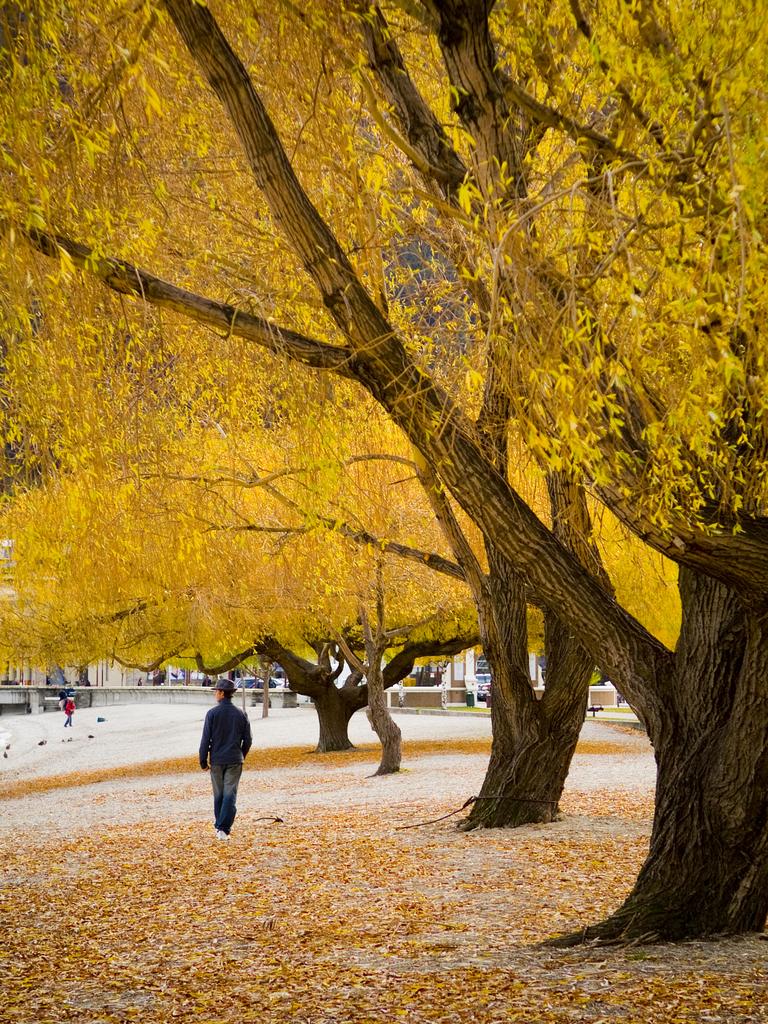 Aussies can expect a “warmer than average” autumn in 2025. Photo: Supplied