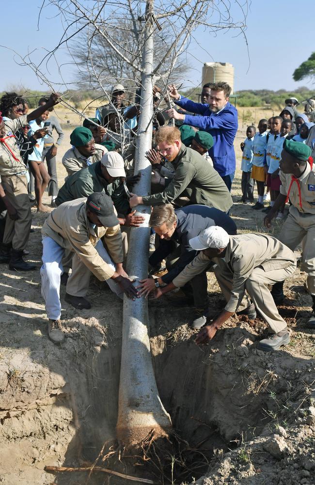 Prince Harry helps to plant trees at the Chobe Tree Reserve in Botswana. Picture: Dominic Lipinski/Getty Images