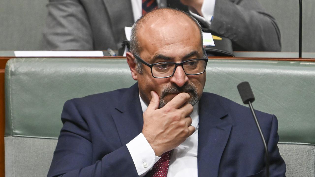 Labor MP Peter Khalil was recently appointed special envoy for social cohesion. Picture: NewsWire / Martin Ollman