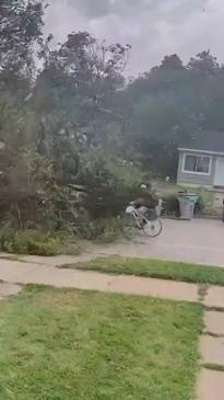 Shocking moment falling tree almost hits cyclist