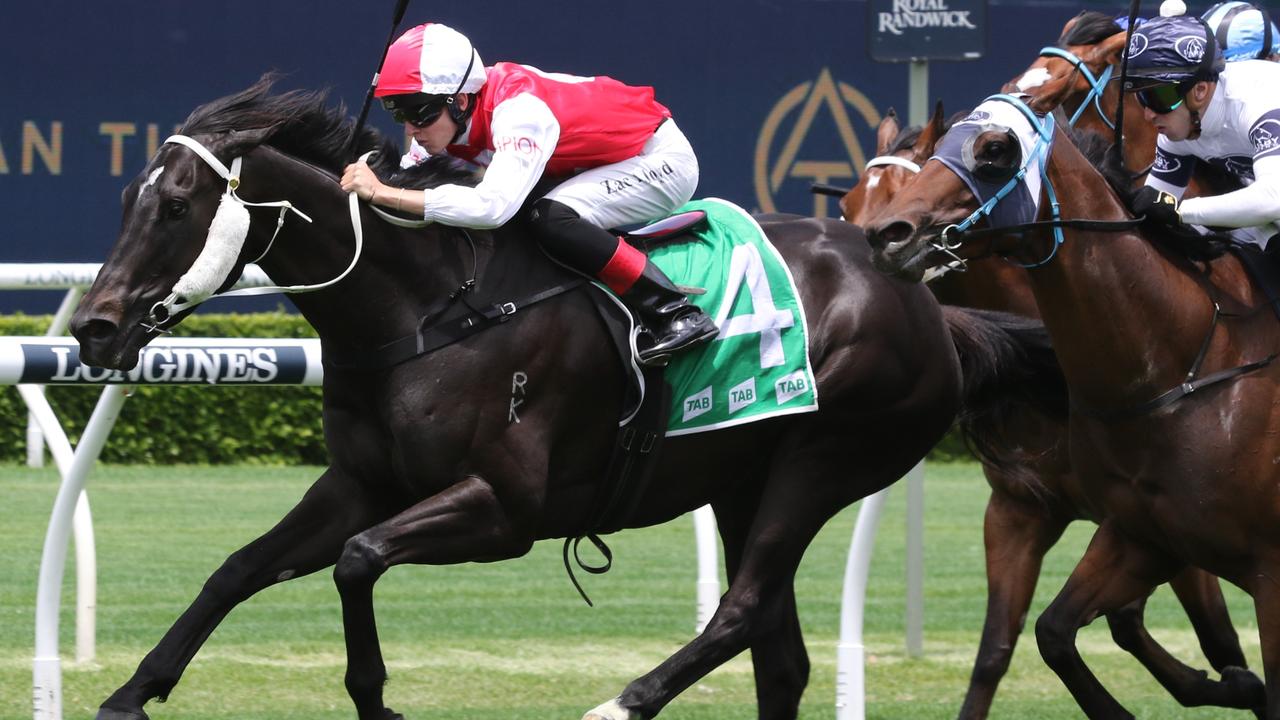 King Of Spades is chasing a second TAB Highway Win at Rosehill on Saturday. Picture: Grant Guy
