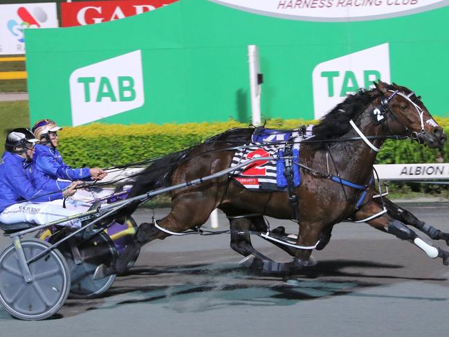 Self Assured is on the outside and just beats stablemate Jesse Duke at Albion Park last week. Picture: Dan Costello