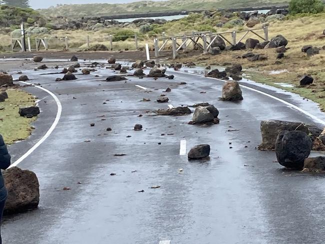 Penguins wash up dead on Victorian coast