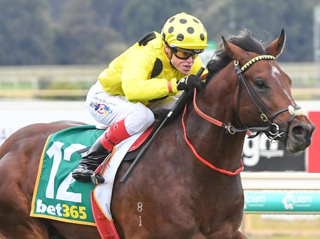 Henlein ridden by Craig Williams wins the Bet365 Top Tote Plus Maiden Plate at Bendigo Racecourse on June 04, 2024 in Bendigo, Australia. (Photo by Brett Holburt/Racing Photos via Getty Images)